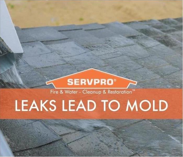 Leaks can lead to mold image of roof